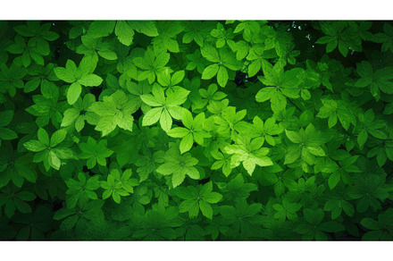 green concept tree leaf top view ai, a Nature Photo by pikepicture