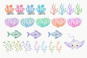Under the Sea 2 Watercolor Clipart, an Animal Illustration by Estúdio Lin (Thumbnail 3 of 7)