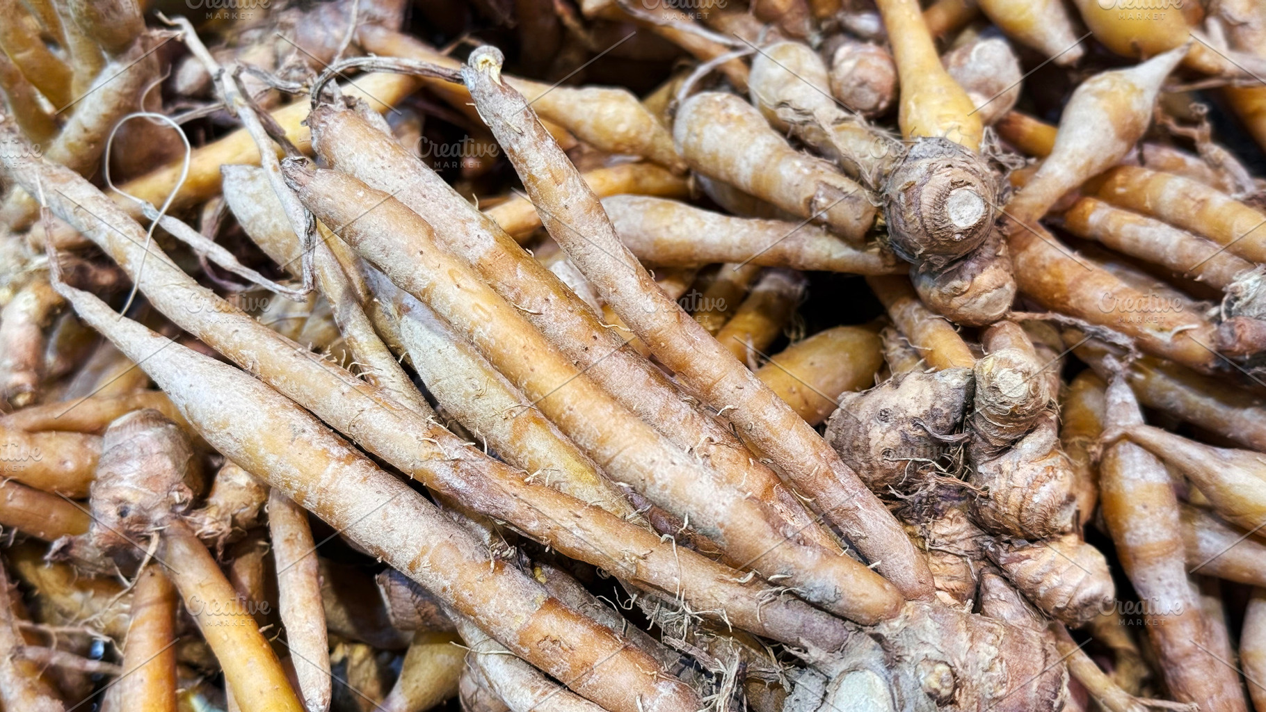 Kaempfer or Finger root pile, a Food & Drink Photo by ArtBackground