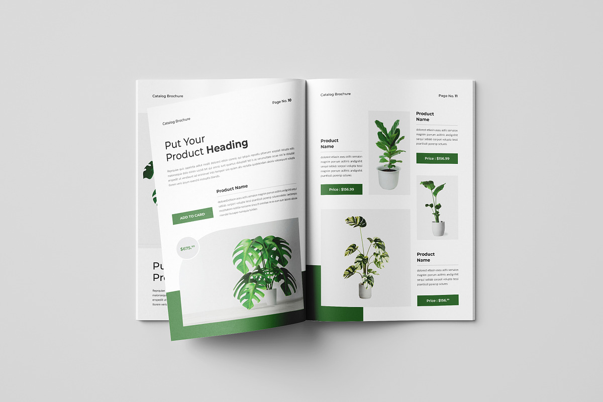Botanic | Catalog Brochure Template, a Brochure Template by Spark_Creative (Photo 6 of 12)