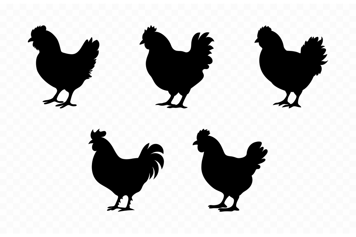 Silkie Chickens SVG Black Set, an Animal Illustration by Gfx Expert Team (Photo 3 of 3)