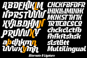 Frosh Font Family, a Sans Serif Font by TypeClassHeroes (Thumbnail 9 of 15)