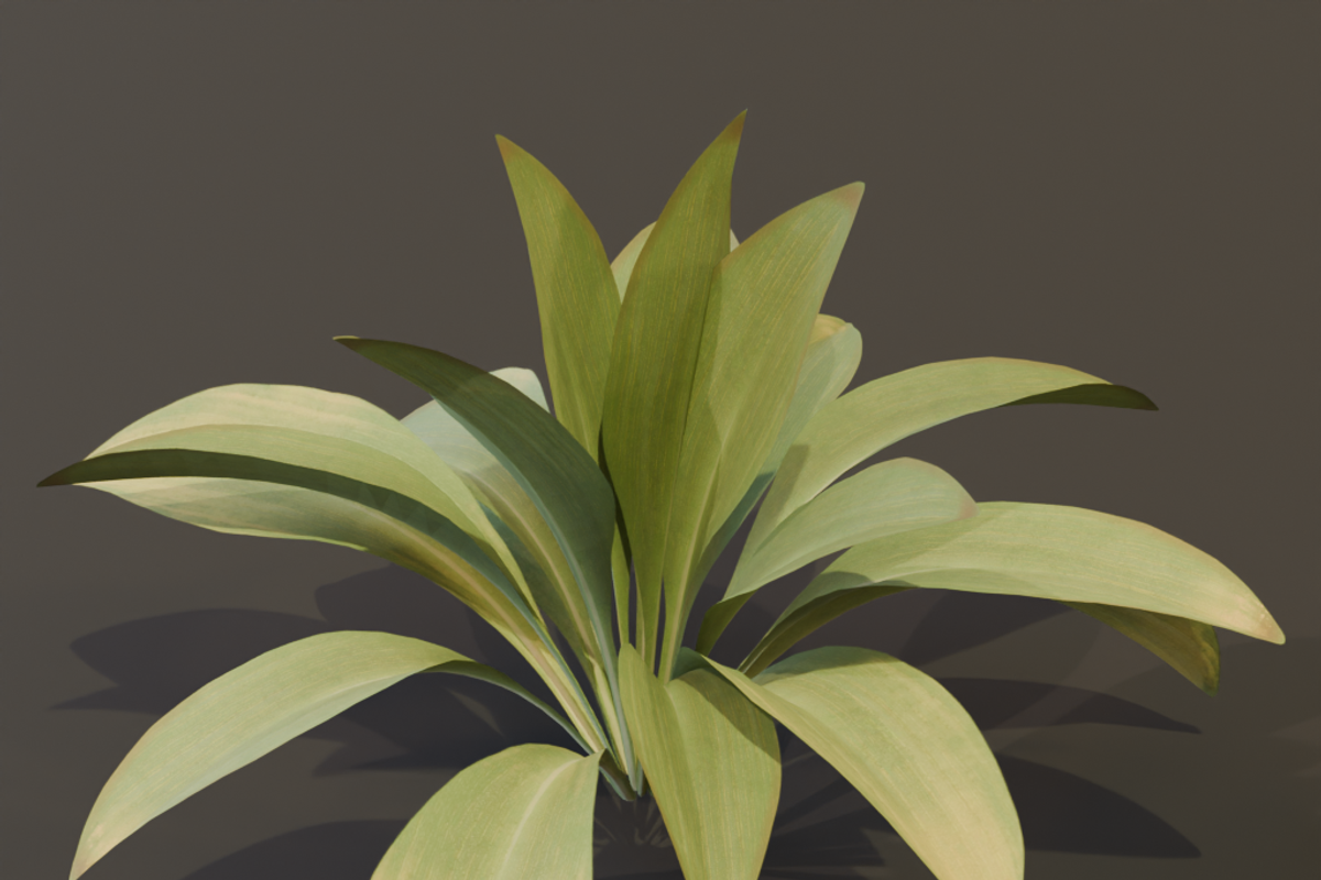The Haran Bush, a Plants & Tree 3D Model by FuturePastCreatives (Photo 10 of 13)