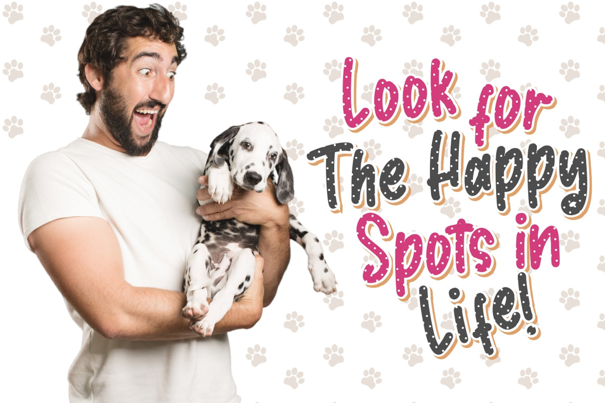 Dalmaspot Advertisement Font preview 5