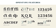 Editora, a Serif Font by Untype (Thumbnail 9 of 12)