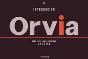 Orvia - Family Sans Serif Typeface, a Serif Font by Say Studio (Thumbnail 1 of 12)