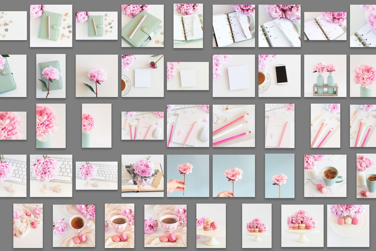 Pink peony stock photo bundle containing pink, peony, and fowers, a Business Photo by Savvy Stock Shop (Photo 3 of 16)