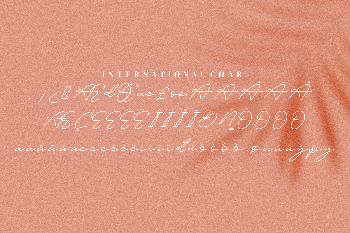 Felisia, a Handwritten Font by Integritype Studio (Photo 10 of 11)