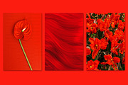 Minimalist red bundle 54, a Beauty & Fashion Photo by Jenya Porechenskaya (Thumbnail 7 of 7)
