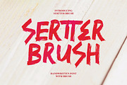 Sertter - Handwritten Brush, a Handwritten Font by tebaltipislab (Thumbnail 1 of 7)