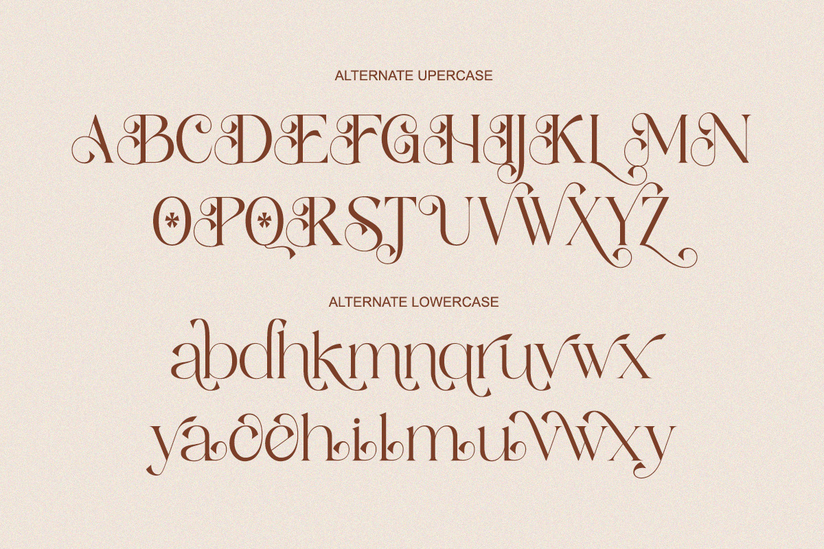 Sassy Born - Modern Elegant Font, a Serif Font by Qweera Studio (Photo 10 of 12)