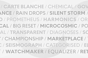 Chesna Grotesk, a Sans Serif Font by Horizon Type Foundry (Thumbnail 11 of 19)