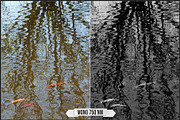 Spectrum Black & White profiles LUTs, a Plug-in Add-On by Raztrend (Thumbnail 22 of 31)