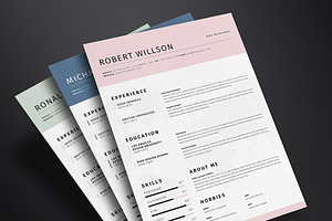 Clean Resume Template Vol.2