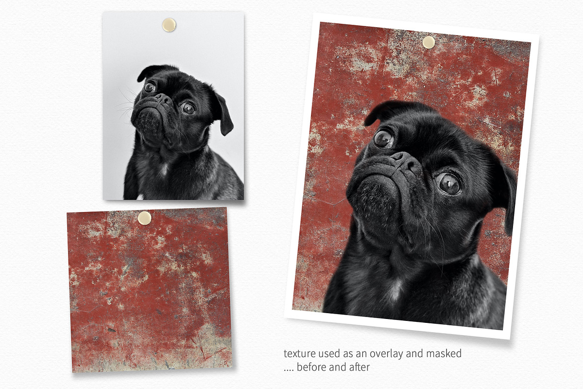 Oriental Reds, a Decorative Illustration by rileyBgraphics (Photo 6 of 8)