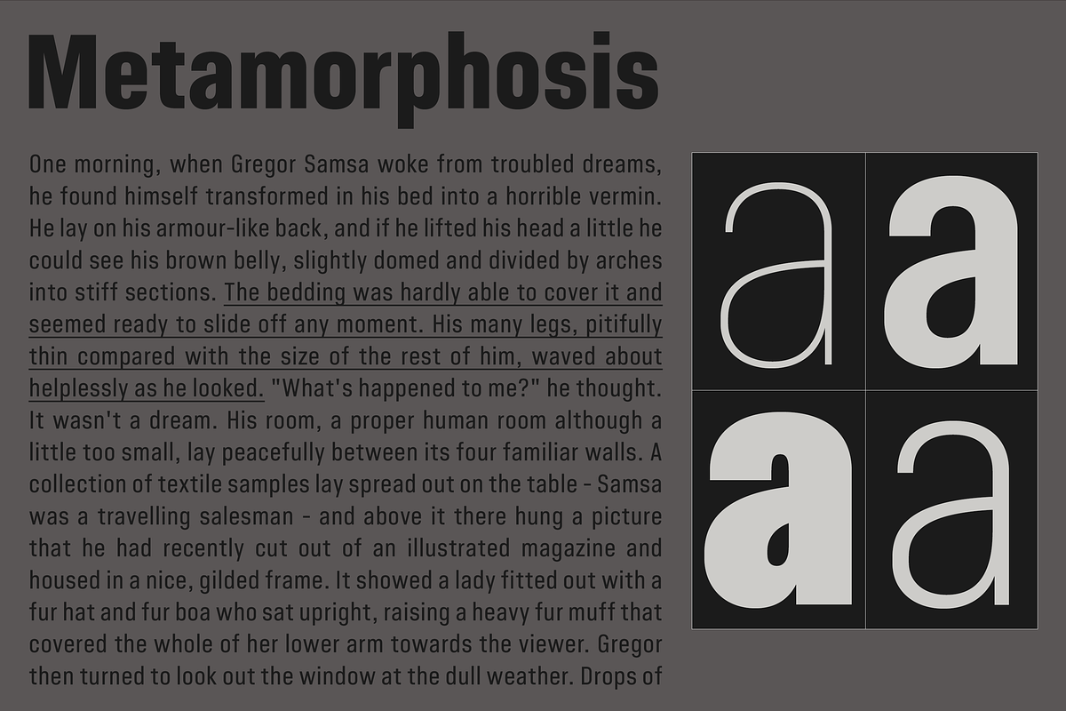 Minimalized, a Sans Serif Font by Dharma Type (Photo 7 of 10)