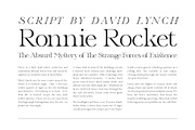 Annex — Display Font, a Serif Font by Spence Type (Thumbnail 5 of 6)