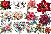 Christmas Flowers Clipart, an Illustration by Daily.Designs (Thumbnail 1 of 3)