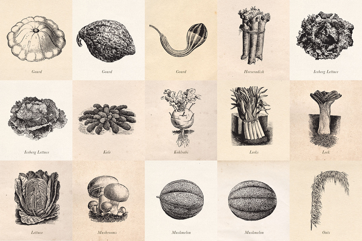 Vintage Fruit Vegetables & Flowers, an Object Graphic by Eclectic Anthology (Photo 4 of 11)