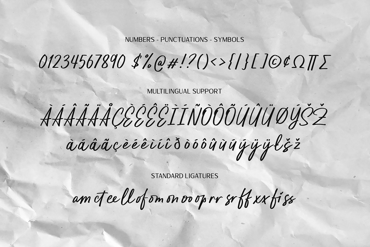 Pestapora, a Script Font by Locomotype (Photo 6 of 8)