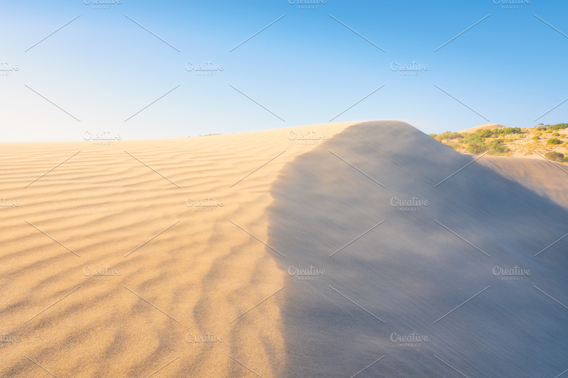 Sand dunes in the desert, a Nature Photo by Landscape and travel