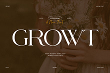 Growt Elegant Serif Font