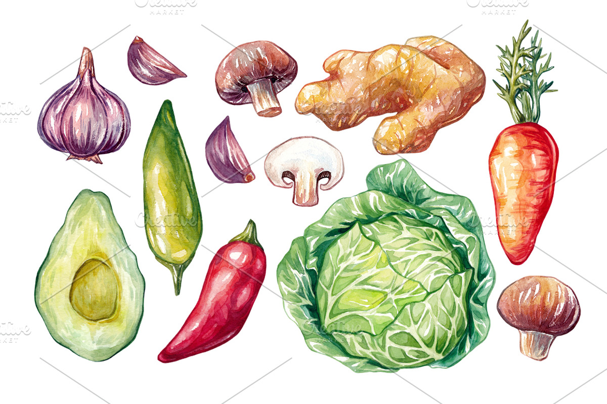 Watercolor Vegetables., a Food Illustration by Olga Olmix (Photo 4 of 6)