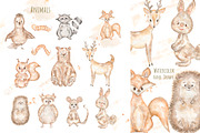 Cute Woodland Friends Collection, an Animal Illustration by MayaNavits (Thumbnail 3 of 12)