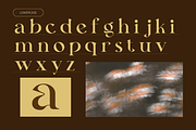 Lavero - Modern Ligatures Font, a Serif Font by Nirmana Visual (Thumbnail 3 of 8)