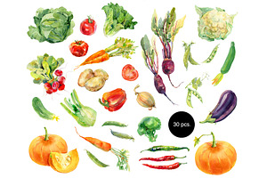 Watercolor Vegetables Set