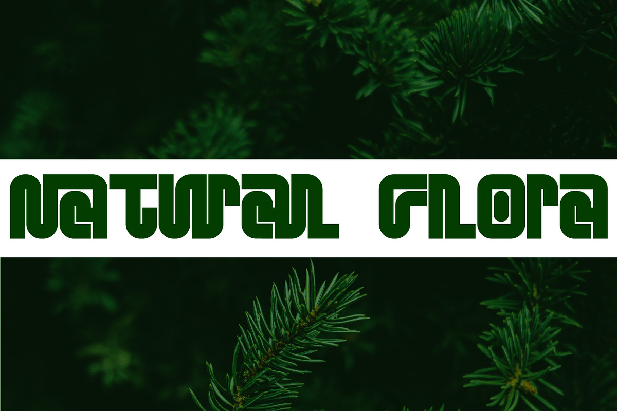 Canger Staong - Display Type, a Symbol Font by NuType (Photo 10 of 13)