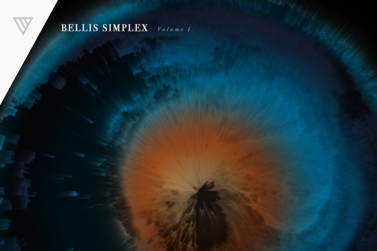Bellis Simplex, a Pattern Graphic by Vidanoise (Photo 5 of 7)