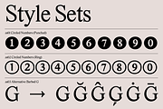Marjorie Variable Serif + Italics, a Font by That That Creative (Thumbnail 10 of 14)