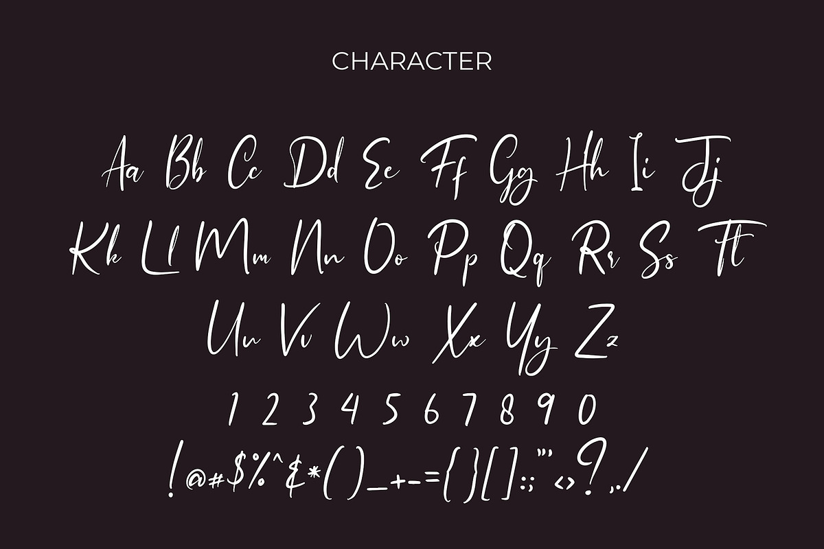 Himalaya Modern Script Font preview 3