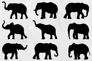 Elephant Silhouette SVG, an Animal Illustration by newminddesign