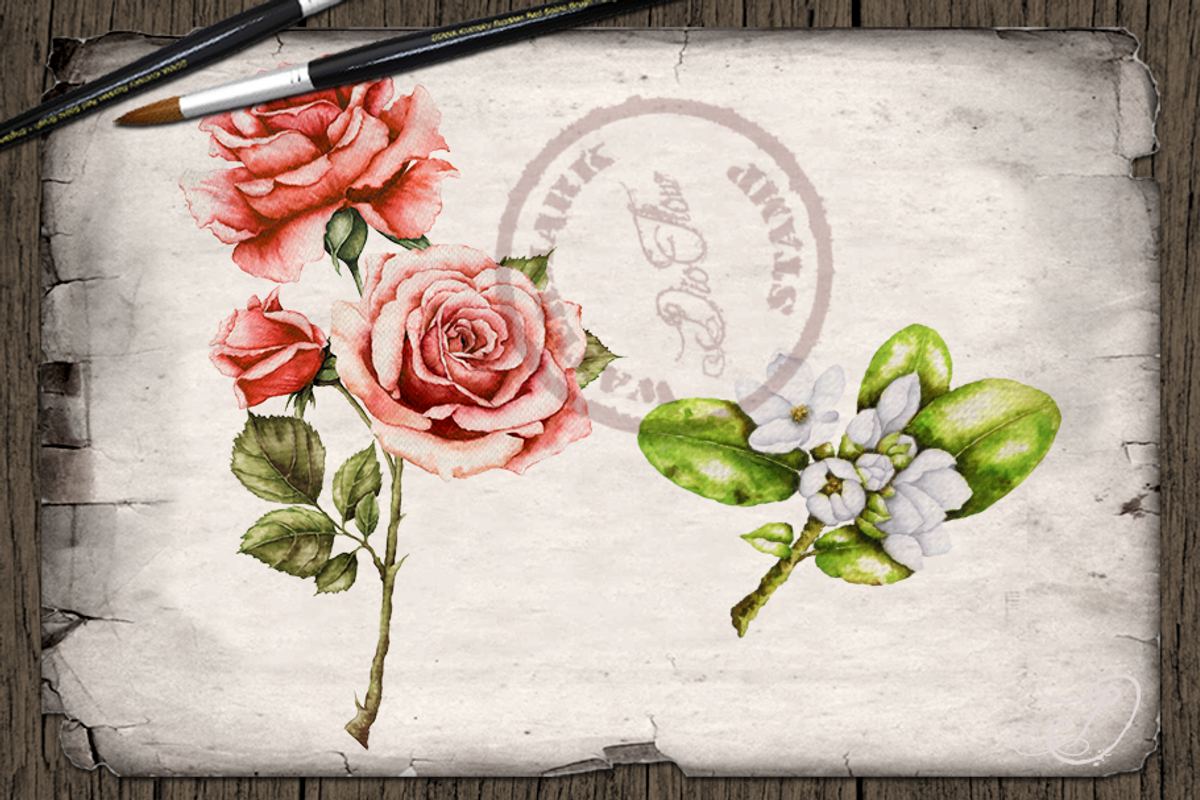 US State Flowers Part 3 Illustration, a Decorative Illustration by DioFlow (Photo 5 of 5)