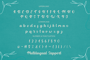 Cartline Brush - Script Font