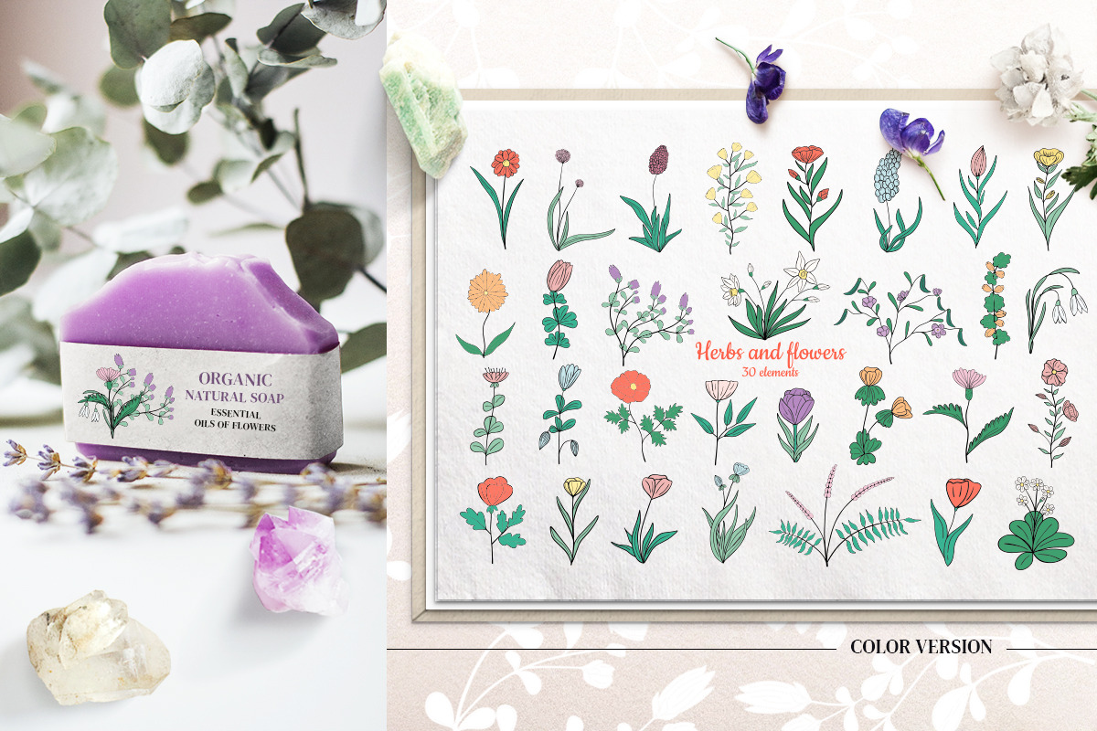 Botanical Wildflowers. Patterns, an Illustration by Diana Kovach (Photo 3 of 11)