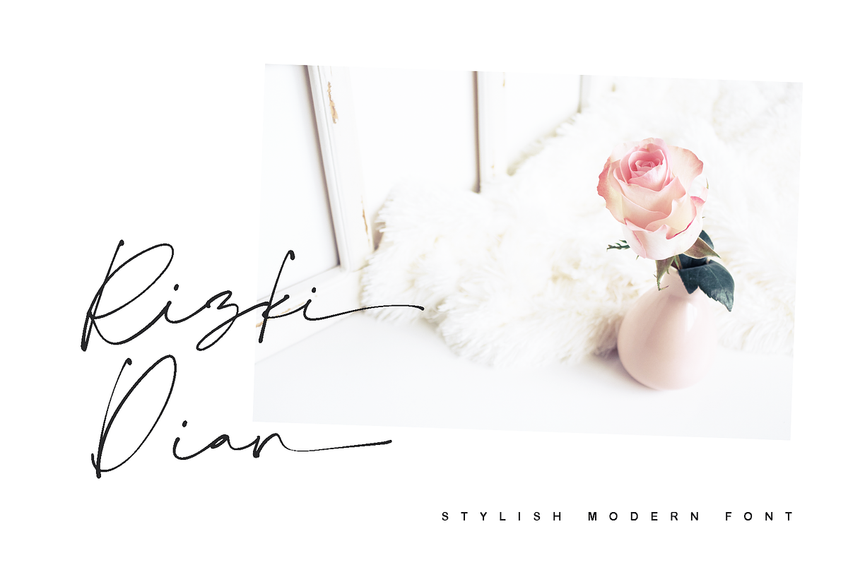 Collection - NEW STYLE, a Script Font by alphArtype (Photo 6 of 16)