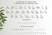 Bestia Signature, a Handwritten Font by InermediaSTUDIO (Thumbnail 5 of 8)