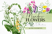 Wild floral clipart meadow flowers, an Illustration by Ksenia Shmakova (Thumbnail 1 of 11)