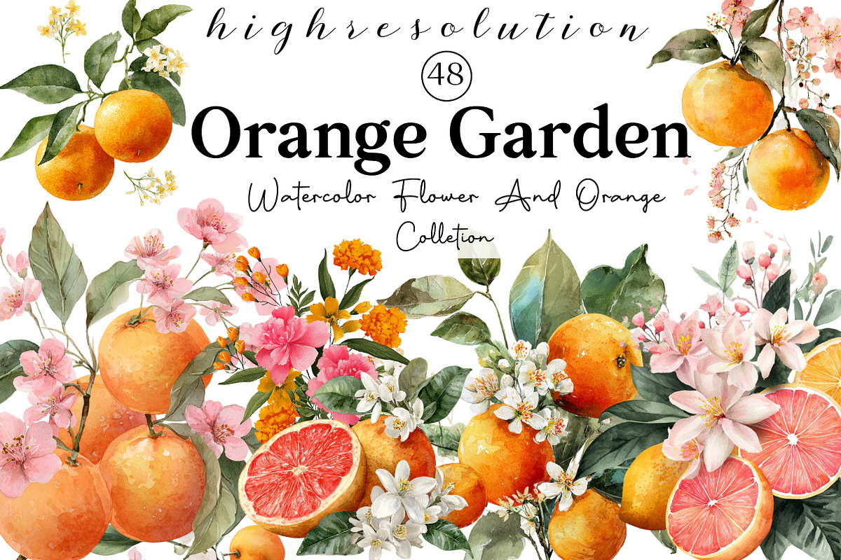 Watercolor Flower And Orange Clipart, an Illustration by DreamCafeArt (Photo 1 of 7)