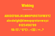 Winking - Modern Sans Serif, a Sans Serif Font by TypeLogue (Thumbnail 5 of 5)
