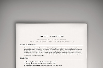 The Apprentice (PSD + WORD DOC)