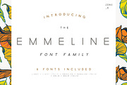 Emmeline Font Family, a Sans Serif Font by Zone 6 (Thumbnail 1 of 6)