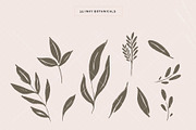 Organic Botanicals & Logo Designs, an Illustration by amber&ink (Thumbnail 9 of 17)