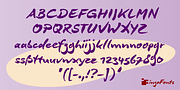 DeBorstel Brush Pro, a Script Font by ingoFonts (Thumbnail 2 of 7)