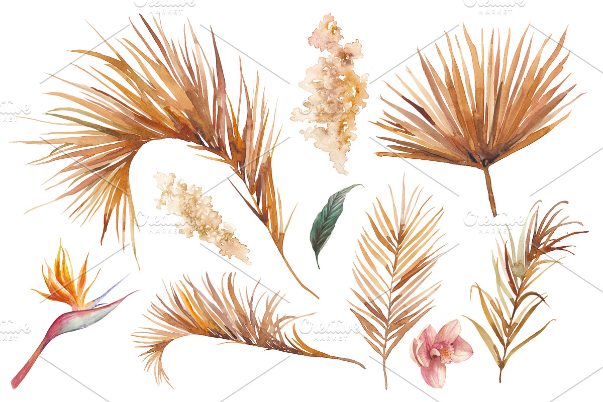DESERT PLANTS, an Illustration by Eisfrei (Photo 2 of 10)
