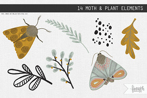 A MOTH GARDEN