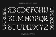 Baskvrl Club | Display Serif Font, a Serif Font by Youthlabs Studio (Thumbnail 7 of 13)